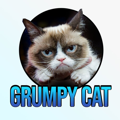 Grumpy Cat Phone Message Cover Art Blurred Background