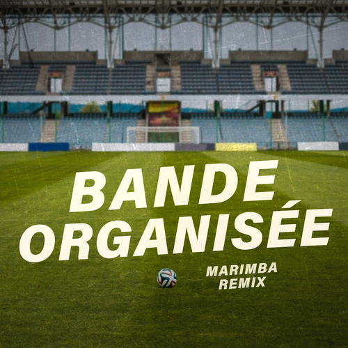 Bande organisée (Marimba Remix) [Cover] Cover Art Blurred Background