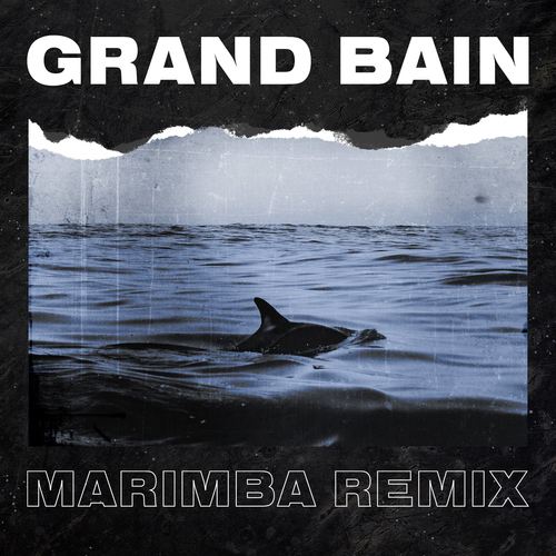 Grand bain (Marimba Remix) [Cover] Cover Art Blurred Background