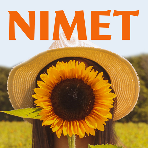 Nimet (Marimba Remix) [Cover] Cover Art Blurred Background
