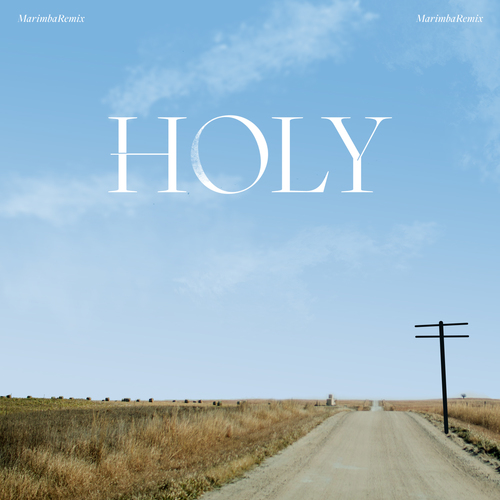 Holy (Marimba Remix) [Cover] Cover Art Blurred Background