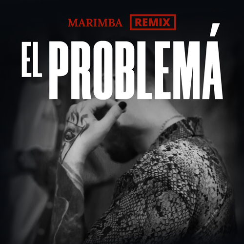 El Problema (Marimba Remix) [Cover] Cover Art Blurred Background