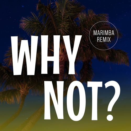 Why Not? (Marimba Remix) [Cover] Cover Art Blurred Background