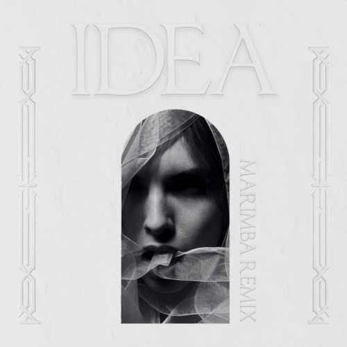 IDEA (Marimba Remix) [Cover] Cover Art Blurred Background