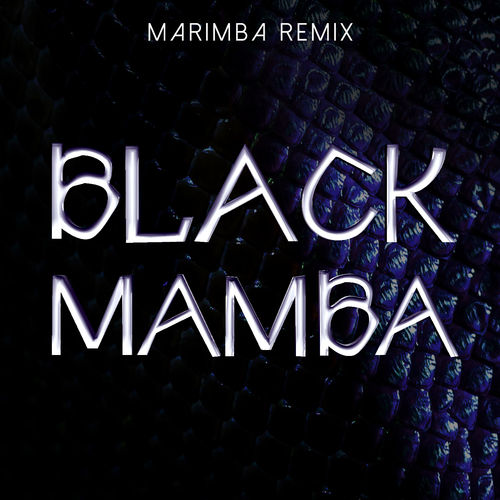 Black Mamba (Marimba Remix) [Cover] Cover Art Blurred Background