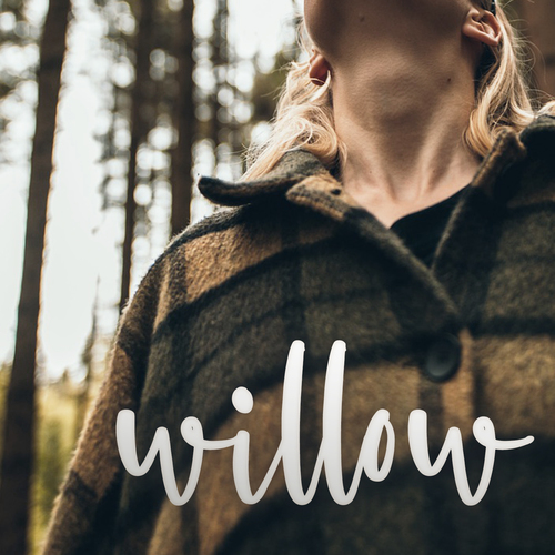 willow (Marimba Remix) [Cover] Cover Art Blurred Background