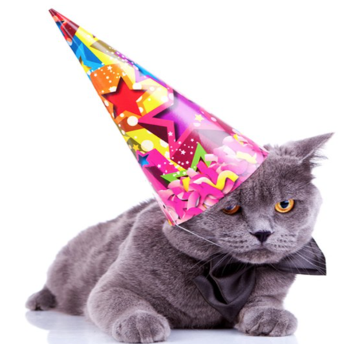 Happy Birthday (Cat Remix) Cover Art Blurred Background