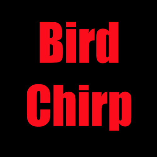 Bird Chirp Cover Art Blurred Background