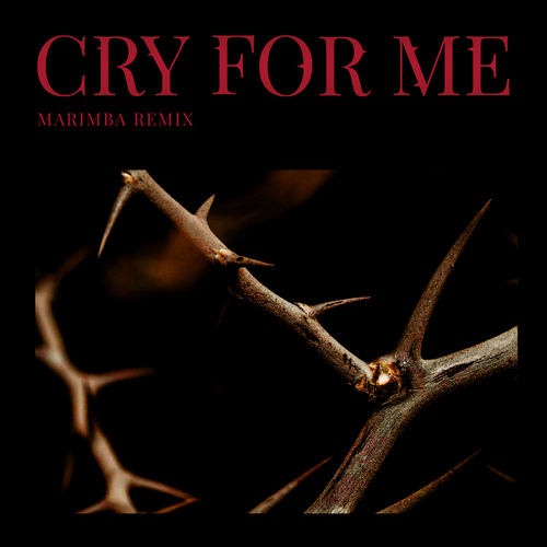 CRY FOR ME (Marimba Remix) [Cover] Cover Art Blurred Background