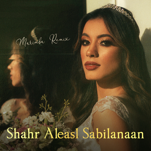 Shahr Aleasl Sabilanaan (Marimba Remix) Cover Art Blurred Background