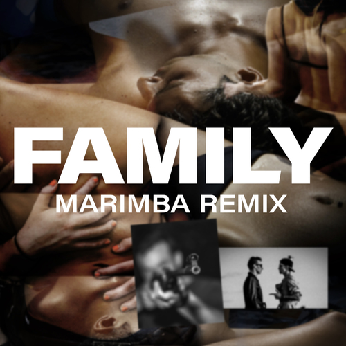 FAMILY (Marimba Remix) [Cover] Cover Art Blurred Background