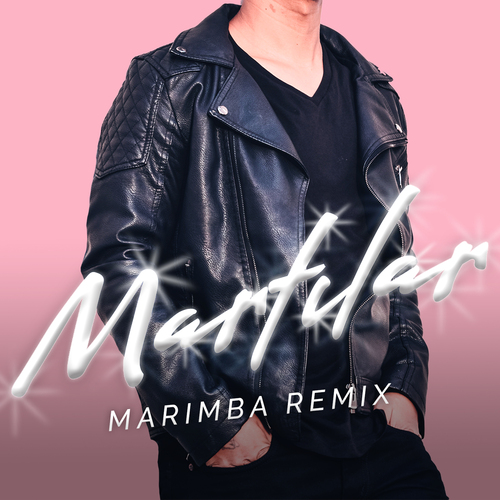 Martılar (Marimba Remix) [Cover] Cover Art Blurred Background