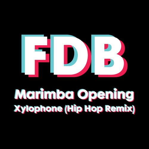 FDB Marimba Opening Xylophone (Hip Hop Remix) Cover Art Blurred Background