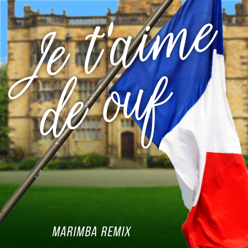 Je t'aime de ouf (Marimba Remix) [Cover] Cover Art Blurred Background