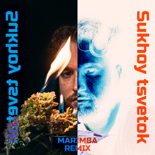 Sukhoy Tsvetok (Marimba Remix) Cover Art Blurred Background