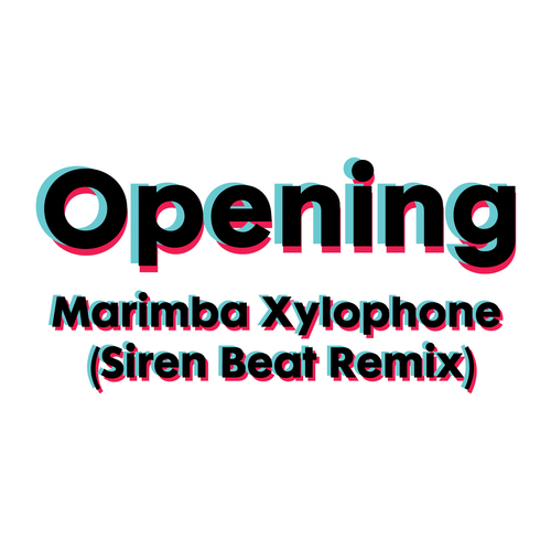 Opening Marimba Xylophone (Siren Beat Remix) Cover Art Blurred Background