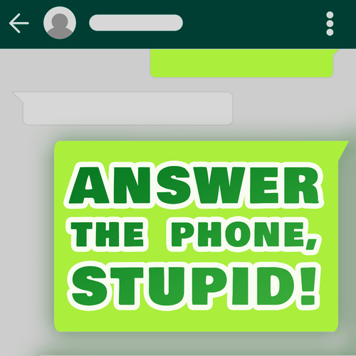 Answer the Phone, Stupid! (Funny Female Voice) Cover Art Blurred Background
