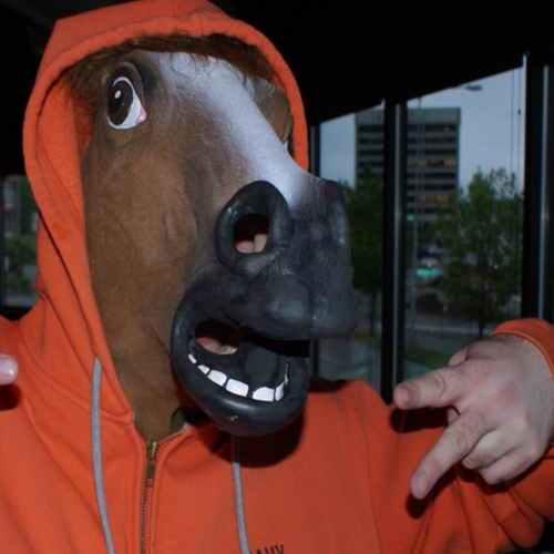 Horse Cover Art Blurred Background