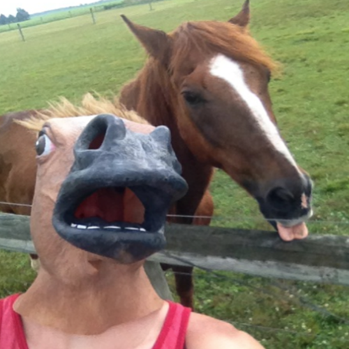 Horse Cover Art Blurred Background