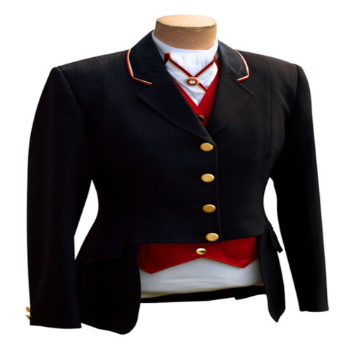 Horse Cover Art Blurred Background