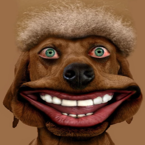 Dog Bark Cover Art Blurred Background