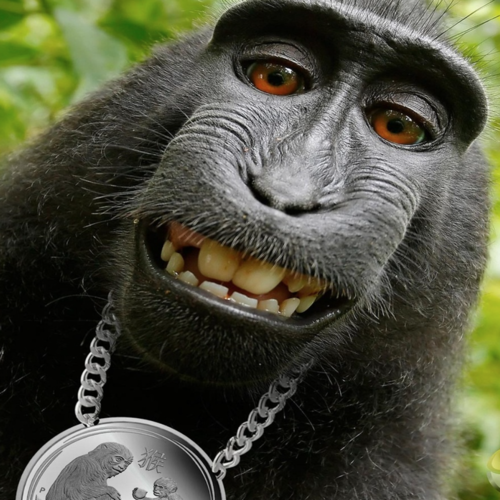 Chupapi Muñañyo (Grito Yell Remix) Cover Art Blurred Background