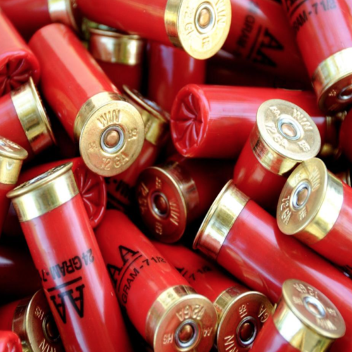 Shotgun Cover Art Blurred Background