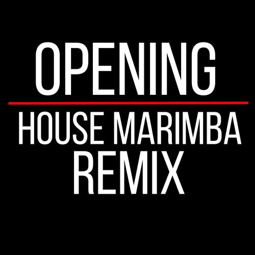 Opening (Marimba House Remix) Cover Art Blurred Background