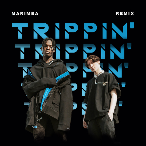Trippin' (Marimba Remix) Cover Art Blurred Background