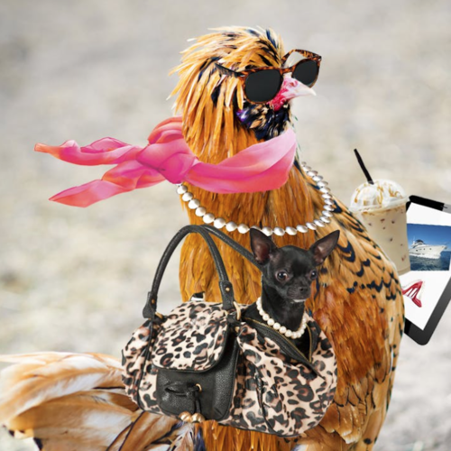 Chicken Sound (Cluck Remix) Cover Art Blurred Background