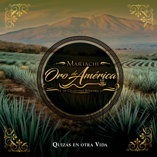 Quizás en otra vida Cover Art Blurred Background