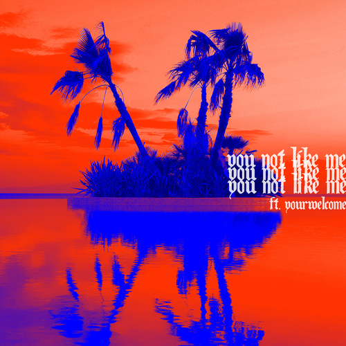 You Not Like Me Cover Art Blurred Background