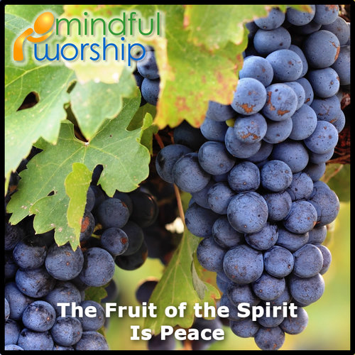 The Fruit of the Spirit Is Peace Cover Art Blurred Background