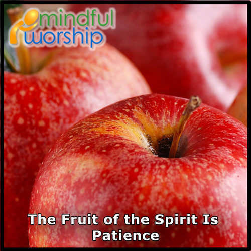 The Fruit of the Spirit Is Patience Cover Art Blurred Background