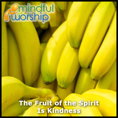 The Fruit of the Spirit Is Kindness Cover Art Blurred Background