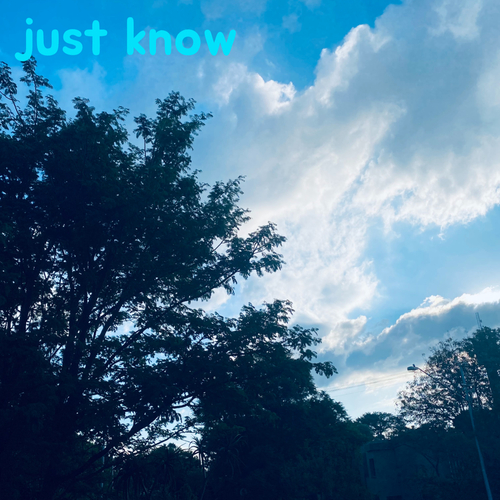 Just Know Cover Art Blurred Background