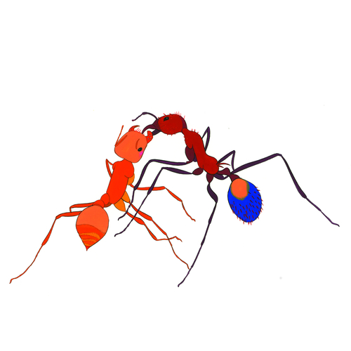 Phase IV Cover Art Blurred Background