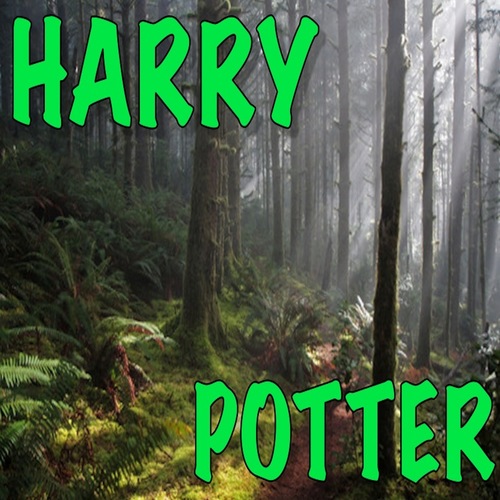 Harry Potter / Hedwig's Theme Cover Art Blurred Background