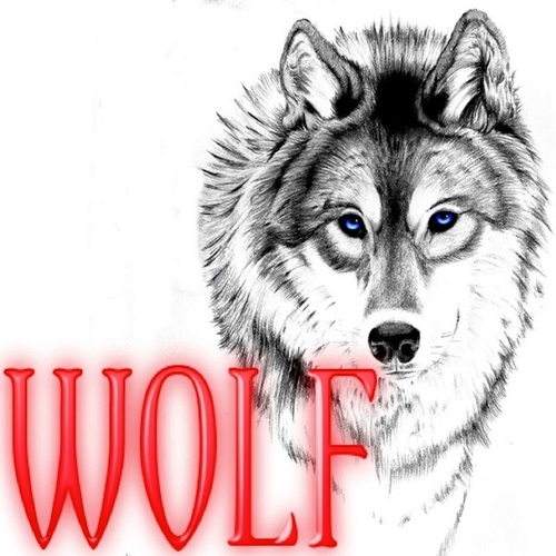 Wolf Howling Cover Art Blurred Background