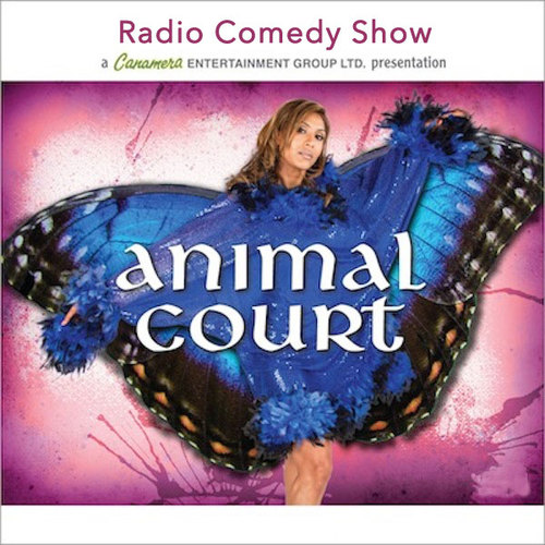 Animal Court Cover Art Blurred Background