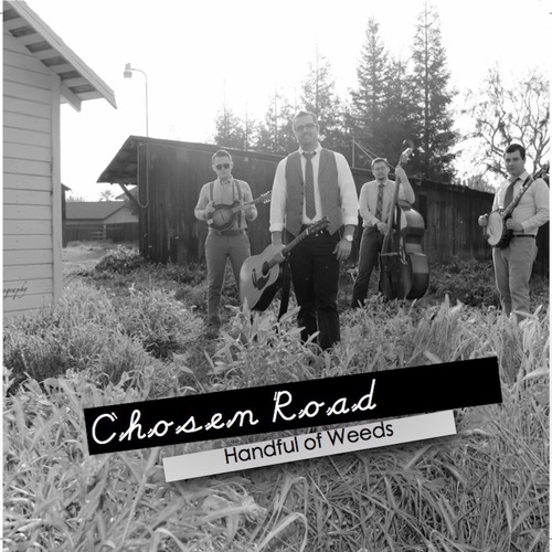 Handful of Weeds Cover Art Blurred Background