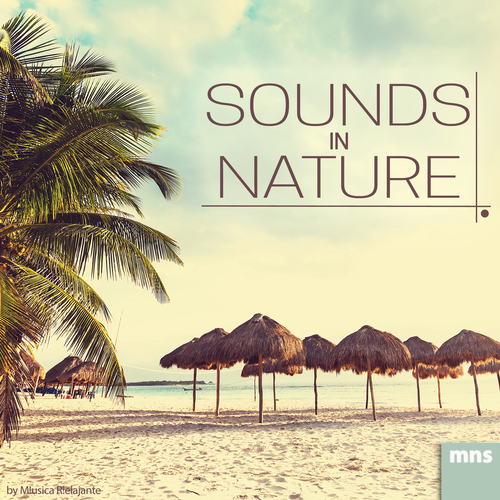Sounds in Nature Cover Art Blurred Background