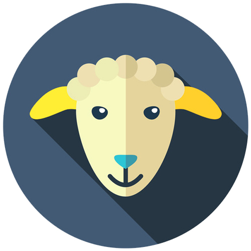 Sheep Cover Art Blurred Background