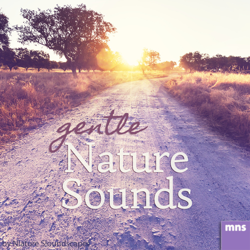 Gentle Nature Sounds Cover Art Blurred Background