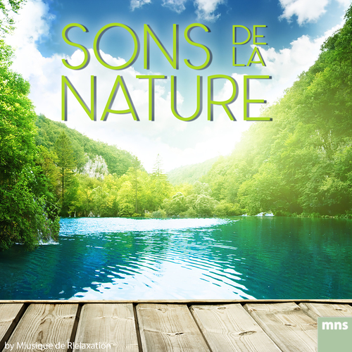 Sons de la Nature Cover Art Blurred Background