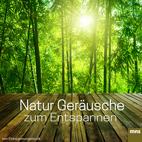 Natur Geräusche zum Entspannen Cover Art Blurred Background