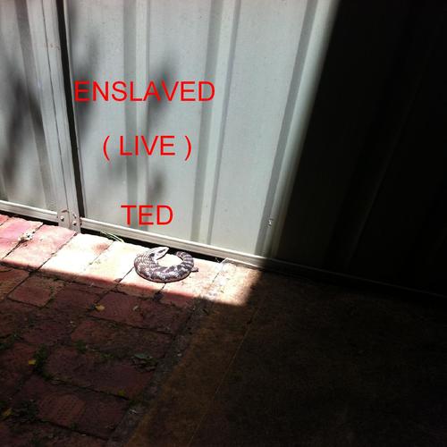 Enslaved (Live) Cover Art Blurred Background