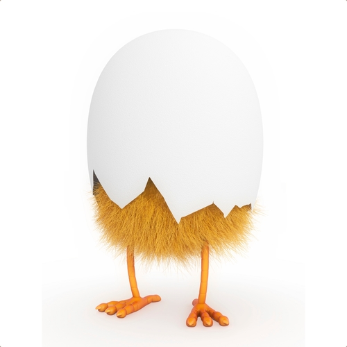 Chicken (Baby Chicks Chirping) Cover Art Blurred Background