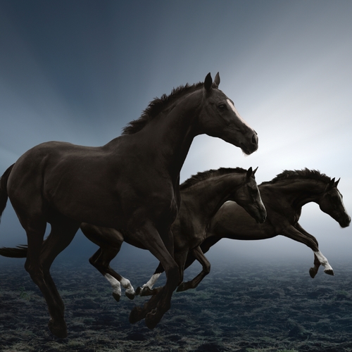Horse Neighing Cover Art Blurred Background