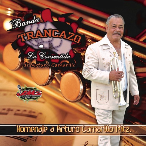 Homenaje a Arturo Camarillo Mtz. Cover Art Blurred Background